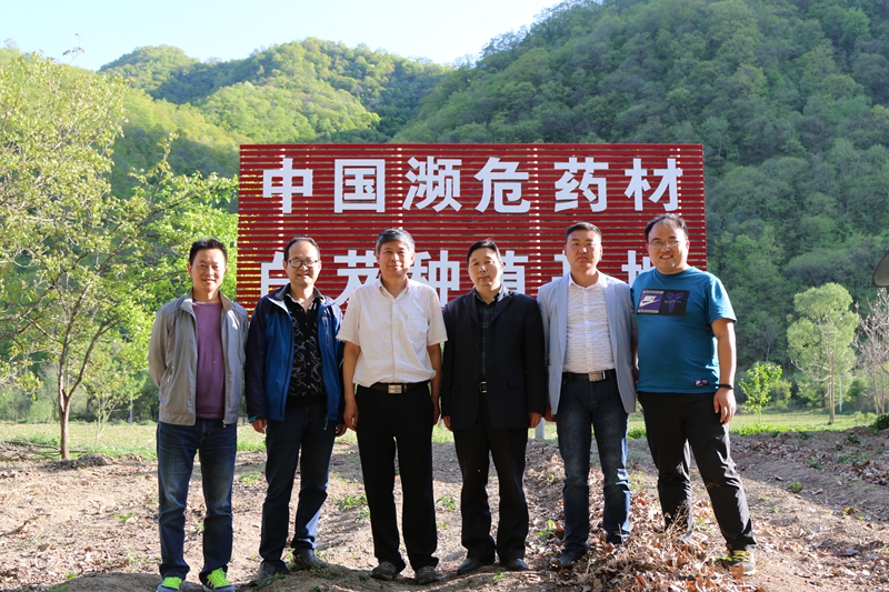 1.实验室主任王喆之教授赴汉中留坝药材基地指导 - 副本.JPG